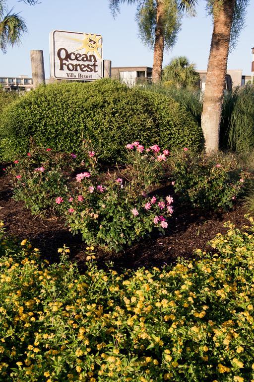 Ocean Forest Villas, Unit A 201 Myrtle Beach Exterior foto