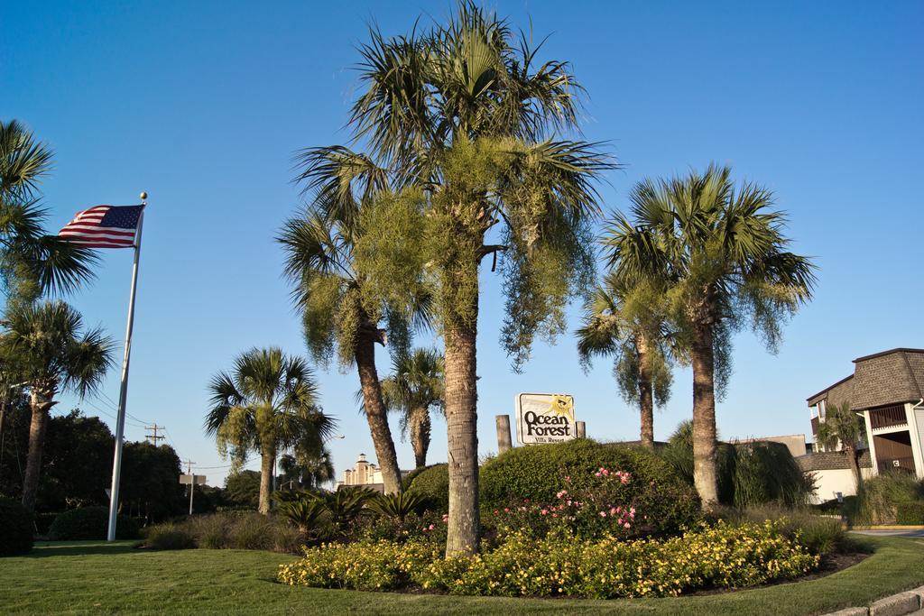 Ocean Forest Villas, Unit A 201 Myrtle Beach Exterior foto